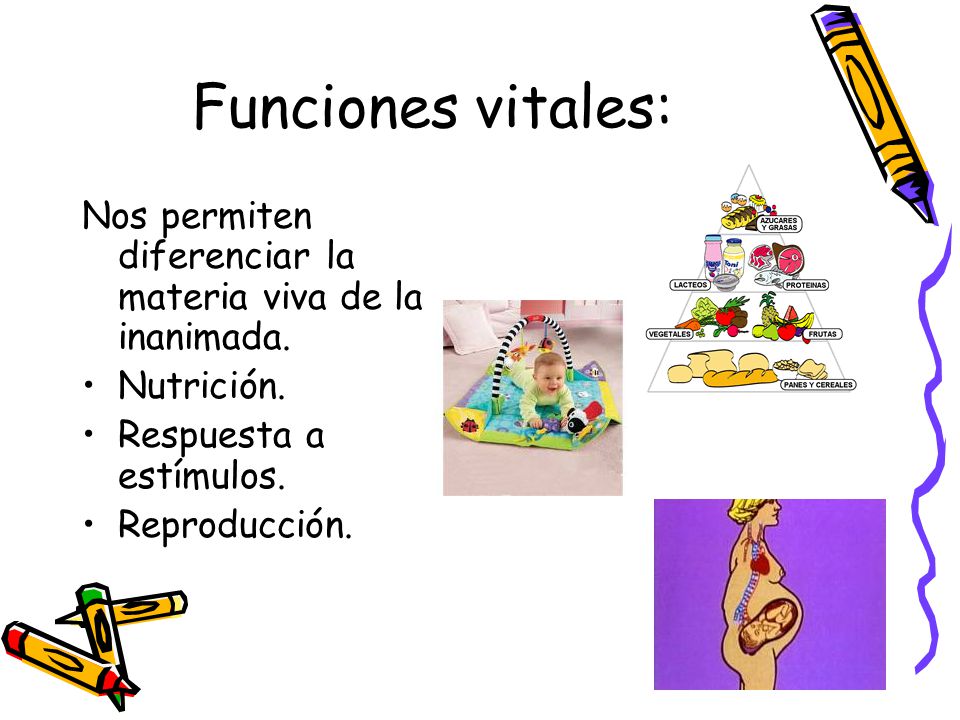 Funciones vitales: Nos permiten diferenciar la materia viva de la inanimada. Nutrición. Respuesta a estímulos.