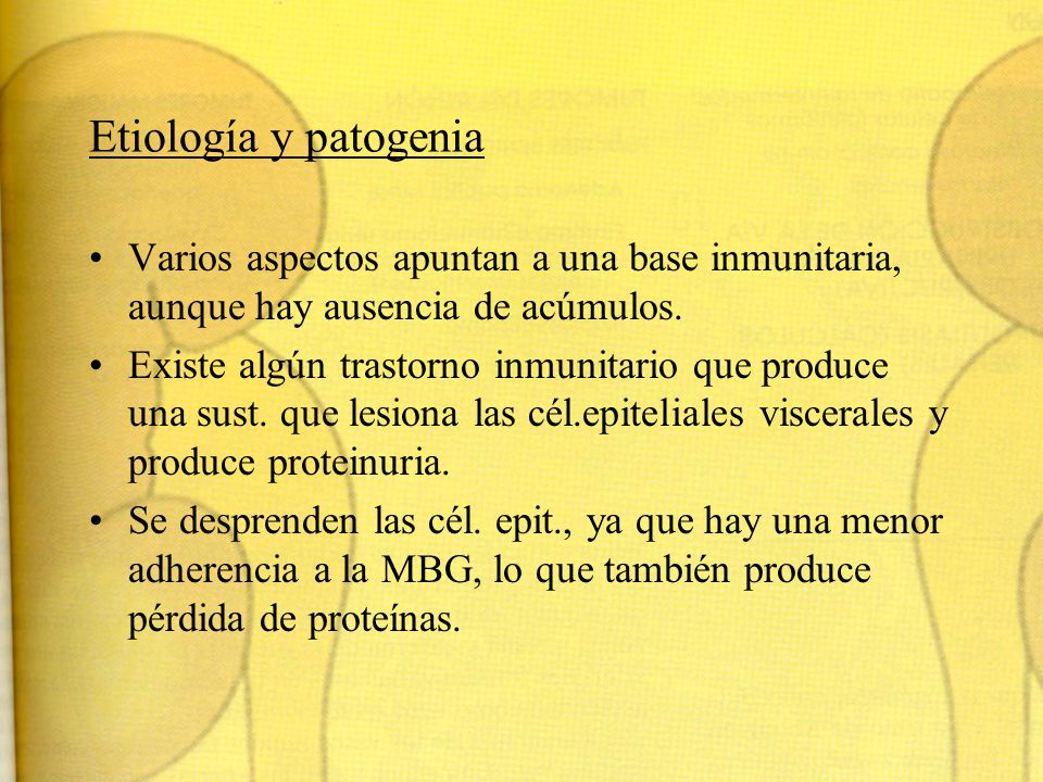 Etiología y patogenia Varios aspectos apuntan a una base inmunitaria, aunque hay ausencia de acúmulos.