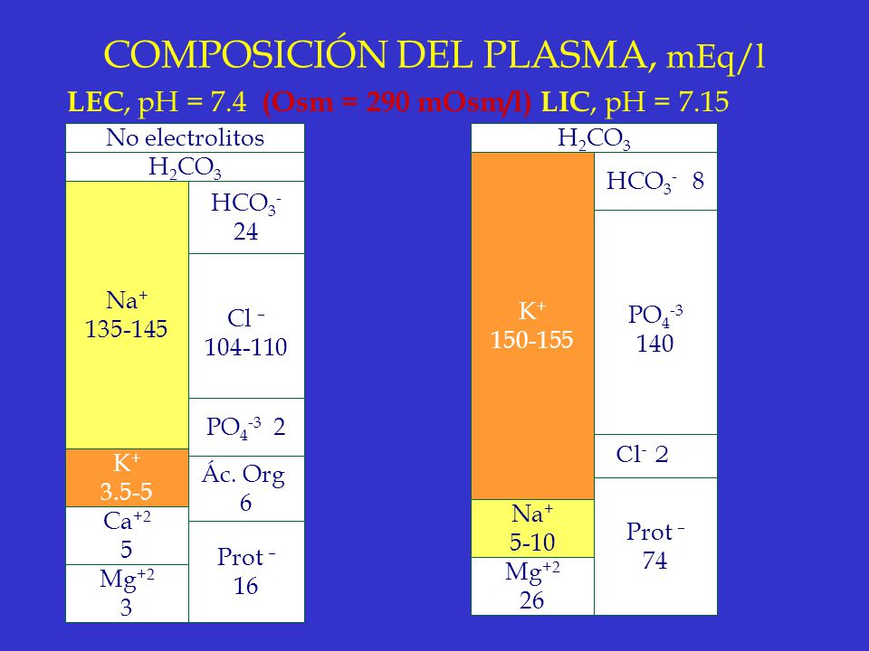 COMPOSICIÓN DEL PLASMA, mEq/l