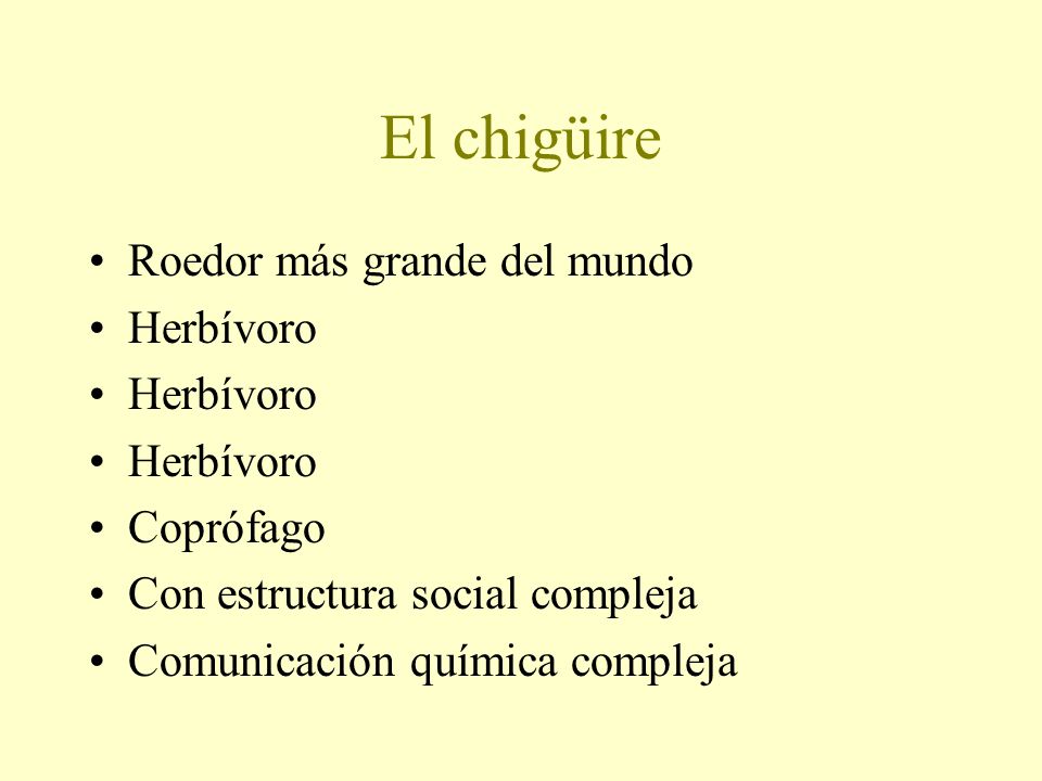 El chigüire Roedor más grande del mundo Herbívoro Coprófago
