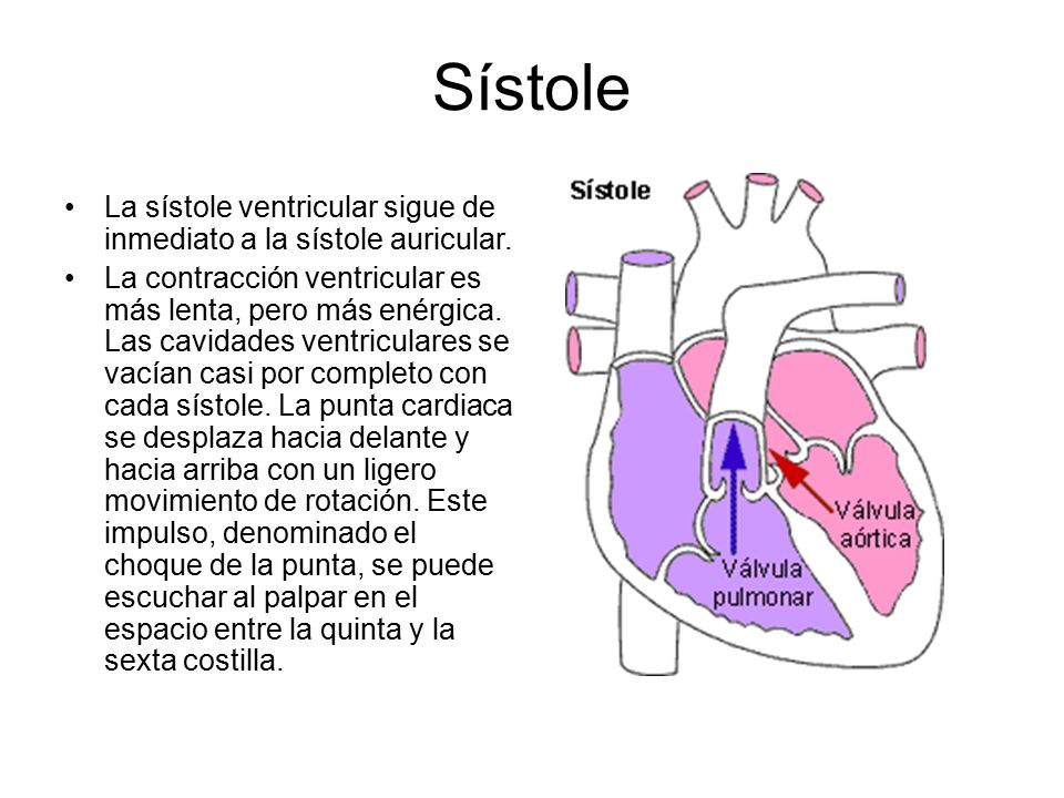 Sístole La sístole ventricular sigue de inmediato a la sístole auricular.