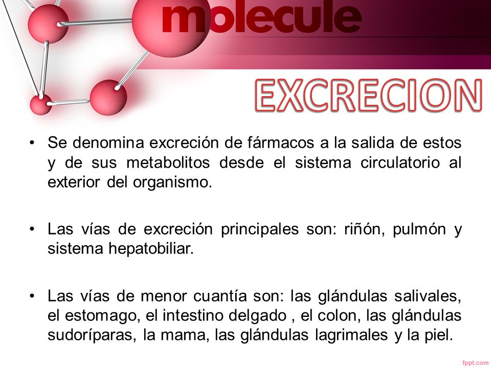 EXCRECION Se denomina excreción de fármacos a la salida de estos y de sus metabolitos desde el sistema circulatorio al exterior del organismo.