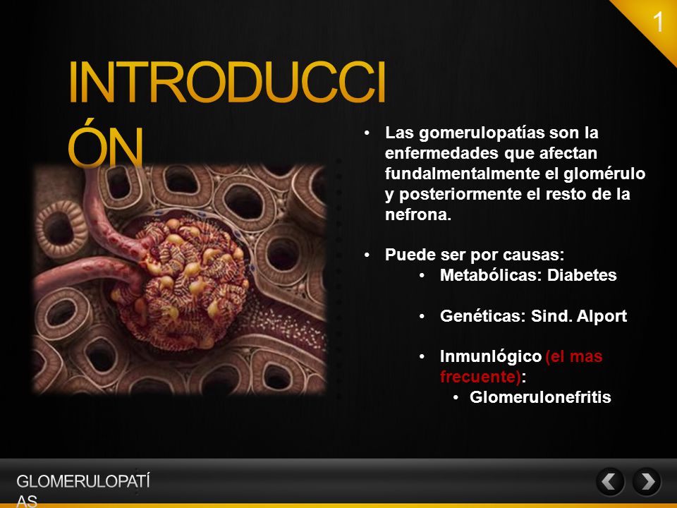 INTRODUCCIÓN Las gomerulopatías son la enfermedades que afectan fundalmentalmente el glomérulo y posteriormente el resto de la nefrona.