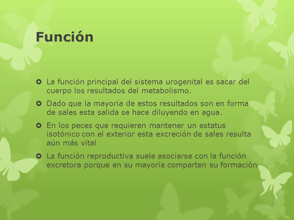 Función La función principal del sistema urogenital es sacar del cuerpo los resultados del metabolismo.