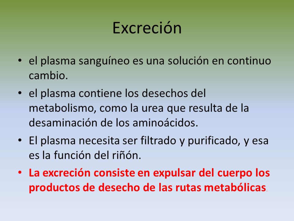 Excreción el plasma sanguíneo es una solución en continuo cambio.