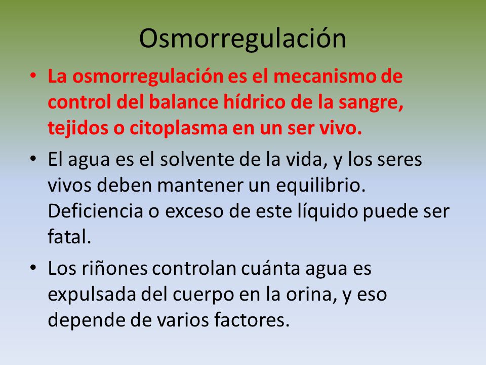 Osmorregulación La osmorregulación es el mecanismo de control del balance hídrico de la sangre, tejidos o citoplasma en un ser vivo.