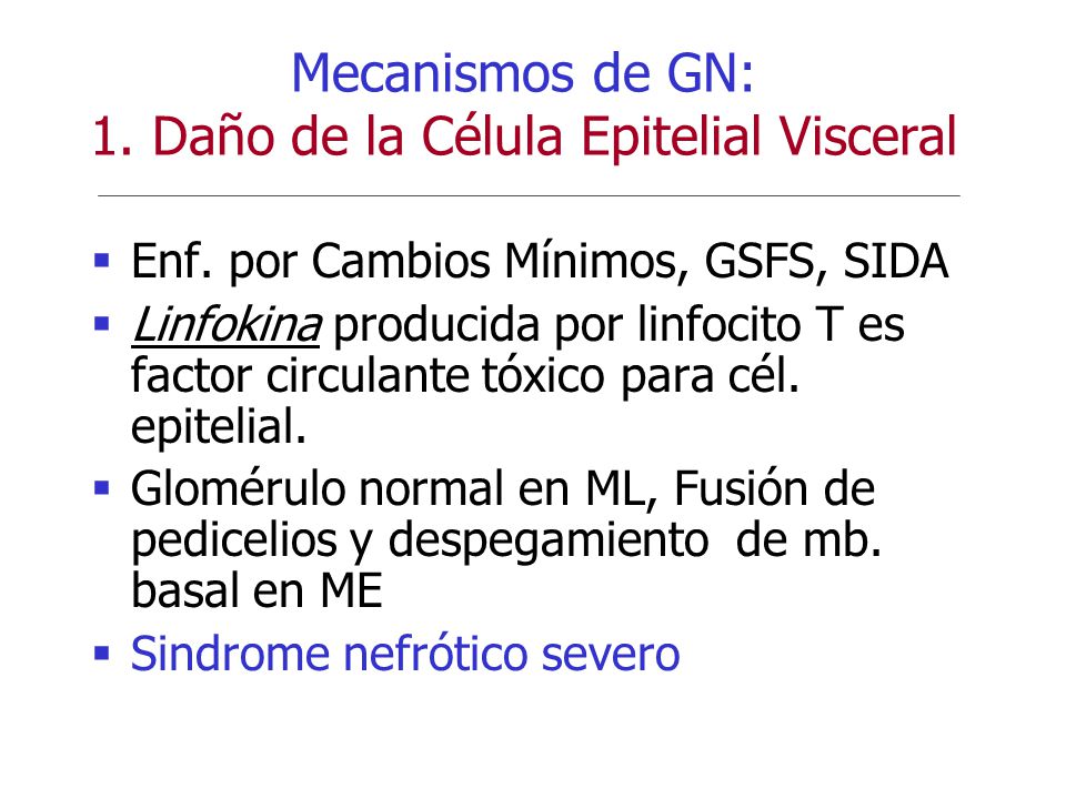 Mecanismos de GN: 1. Daño de la Célula Epitelial Visceral