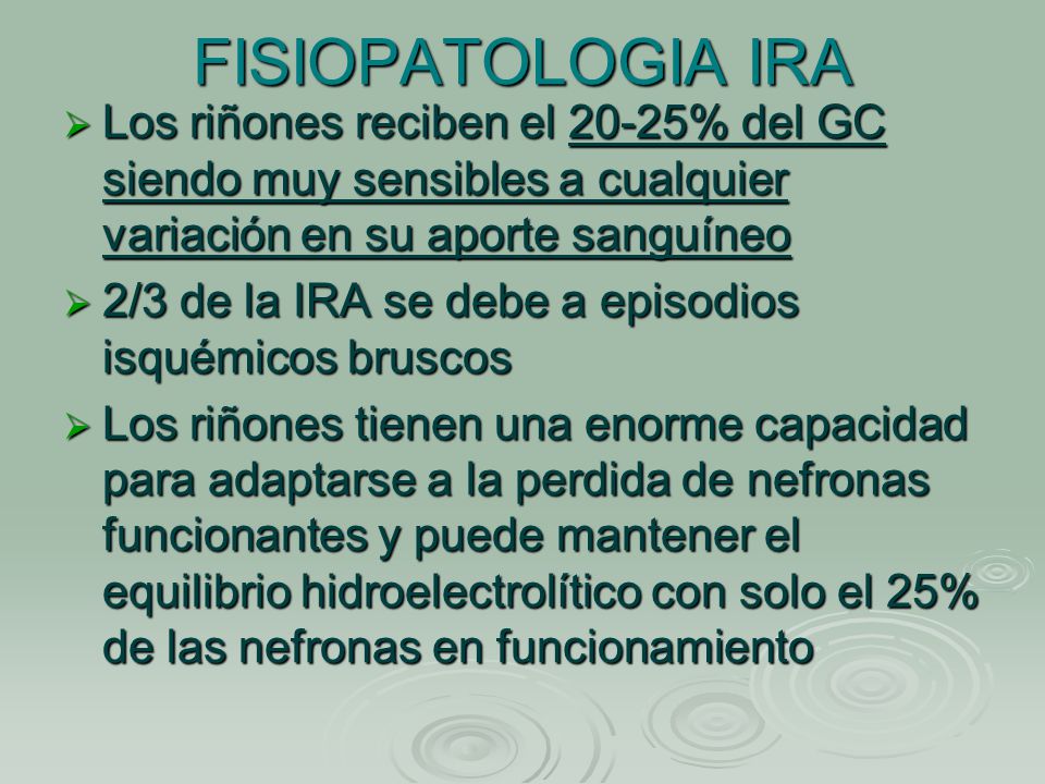 FISIOPATOLOGIA IRA Los riñones reciben el 20-25% del GC siendo muy sensibles a cualquier variación en su aporte sanguíneo.