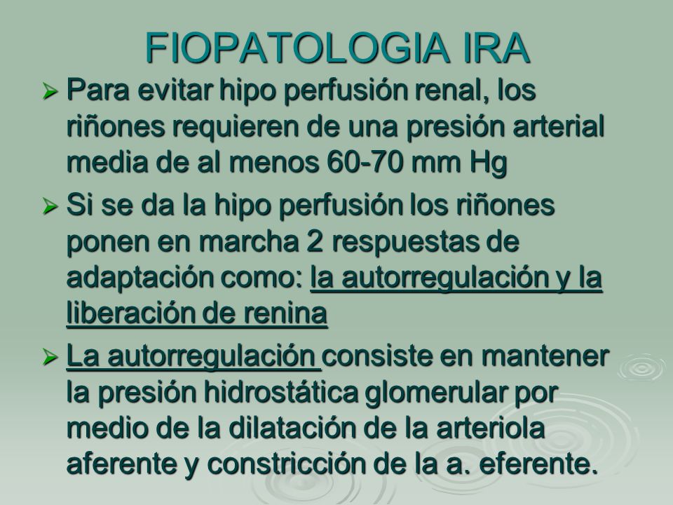 FIOPATOLOGIA IRA Para evitar hipo perfusión renal, los riñones requieren de una presión arterial media de al menos mm Hg.