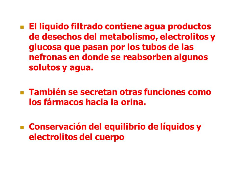 El liquido filtrado contiene agua productos de desechos del metabolismo, electrolitos y glucosa que pasan por los tubos de las nefronas en donde se reabsorben algunos solutos y agua.