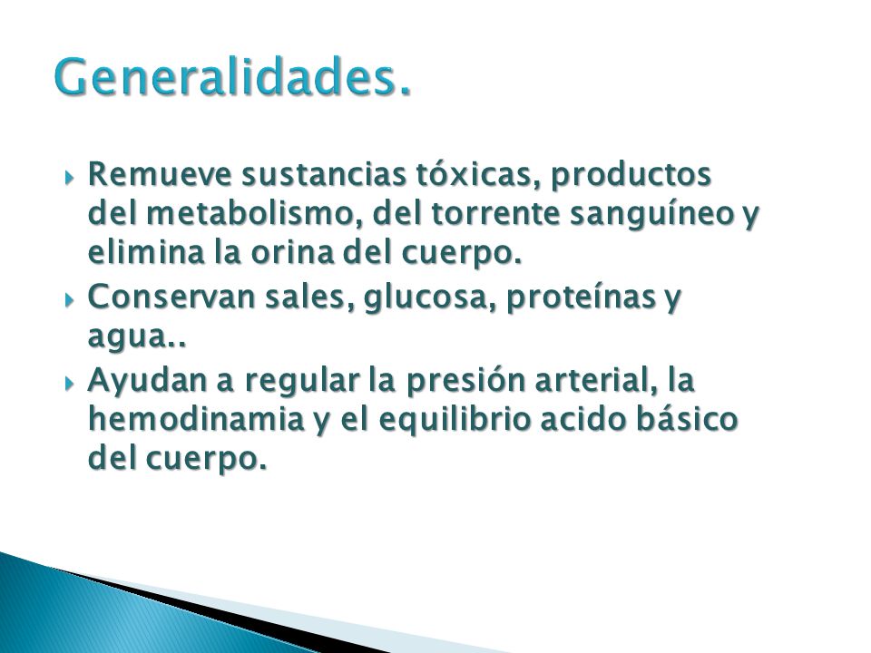 Generalidades. Remueve sustancias tóxicas, productos del metabolismo, del torrente sanguíneo y elimina la orina del cuerpo.