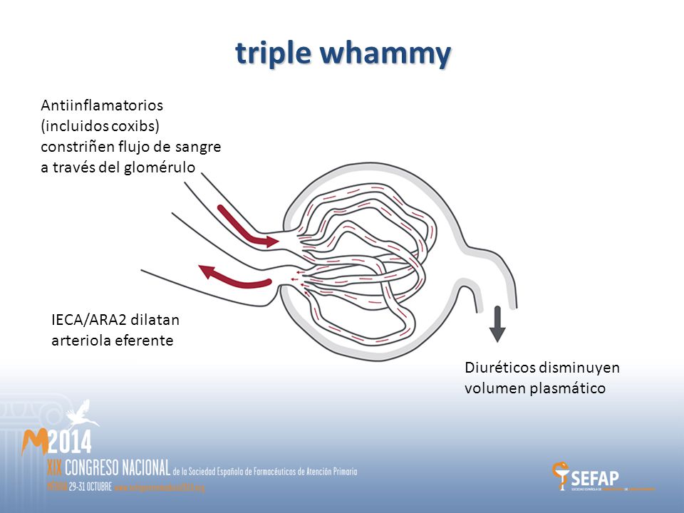 triple whammy Antiinflamatorios (incluidos coxibs) constriñen flujo de sangre a través del glomérulo.