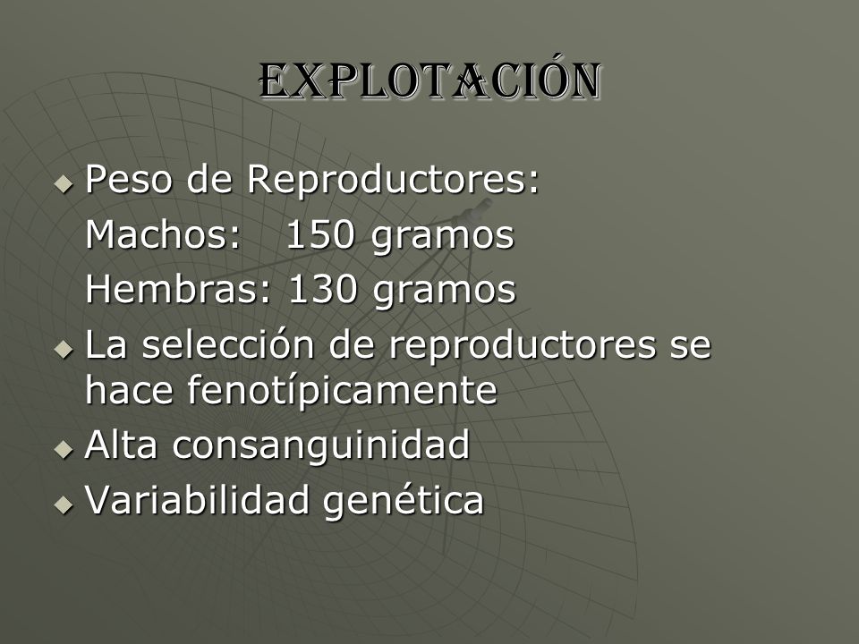 Explotación Peso de Reproductores: Machos: 150 gramos