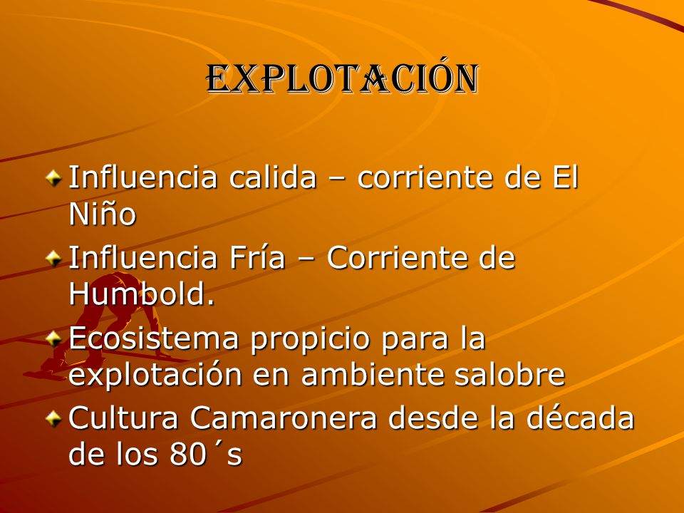 Explotación Influencia calida – corriente de El Niño