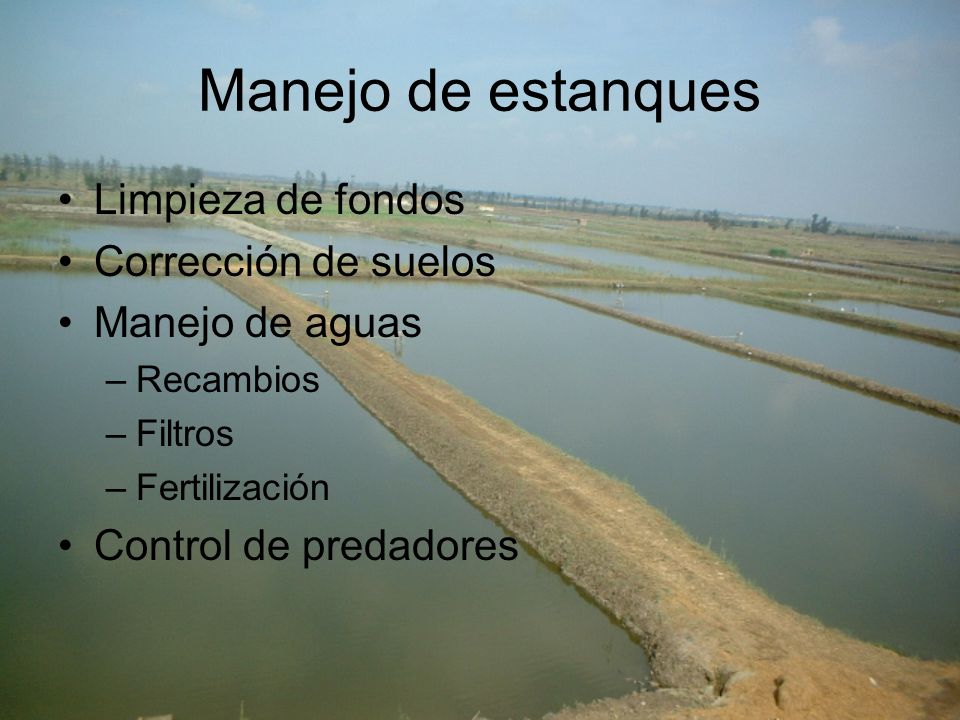 Manejo de estanques Limpieza de fondos Corrección de suelos