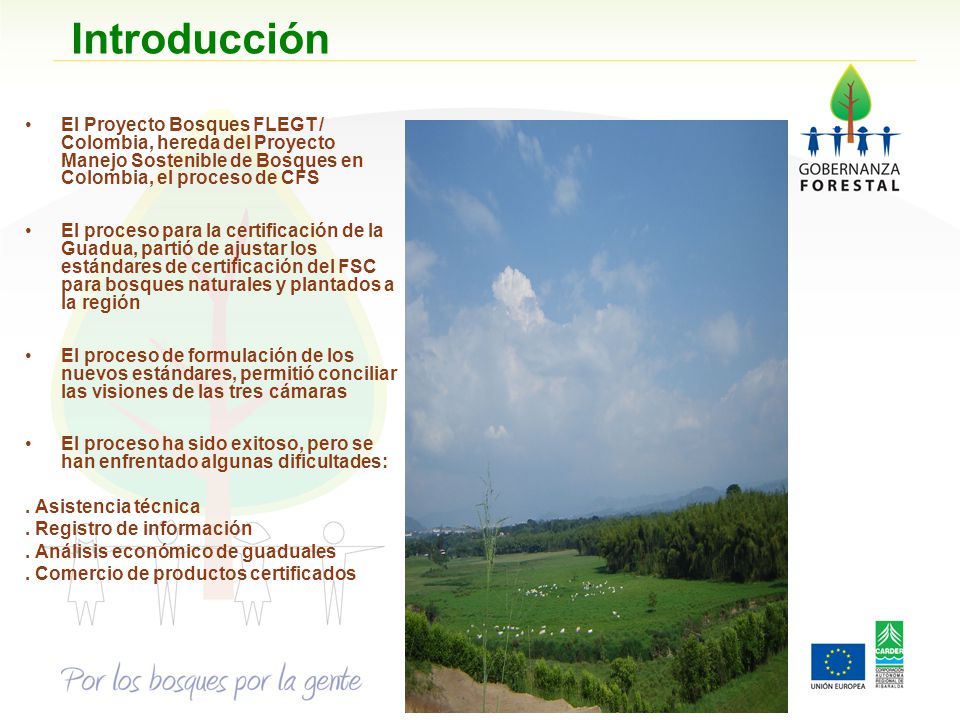 Introducción El Proyecto Bosques FLEGT / Colombia, hereda del Proyecto Manejo Sostenible de Bosques en Colombia, el proceso de CFS.