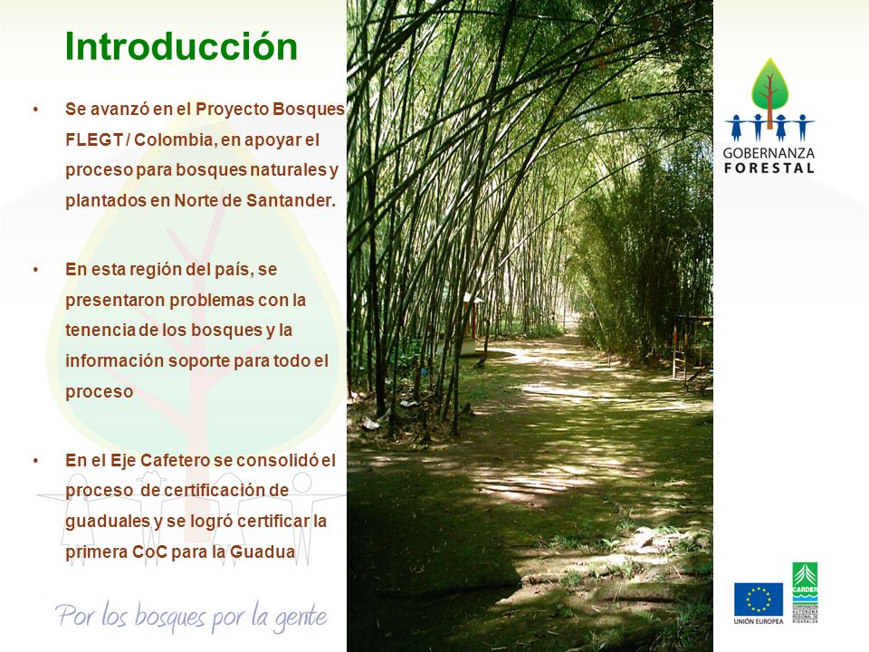 Introducción Se avanzó en el Proyecto Bosques FLEGT / Colombia, en apoyar el proceso para bosques naturales y plantados en Norte de Santander.
