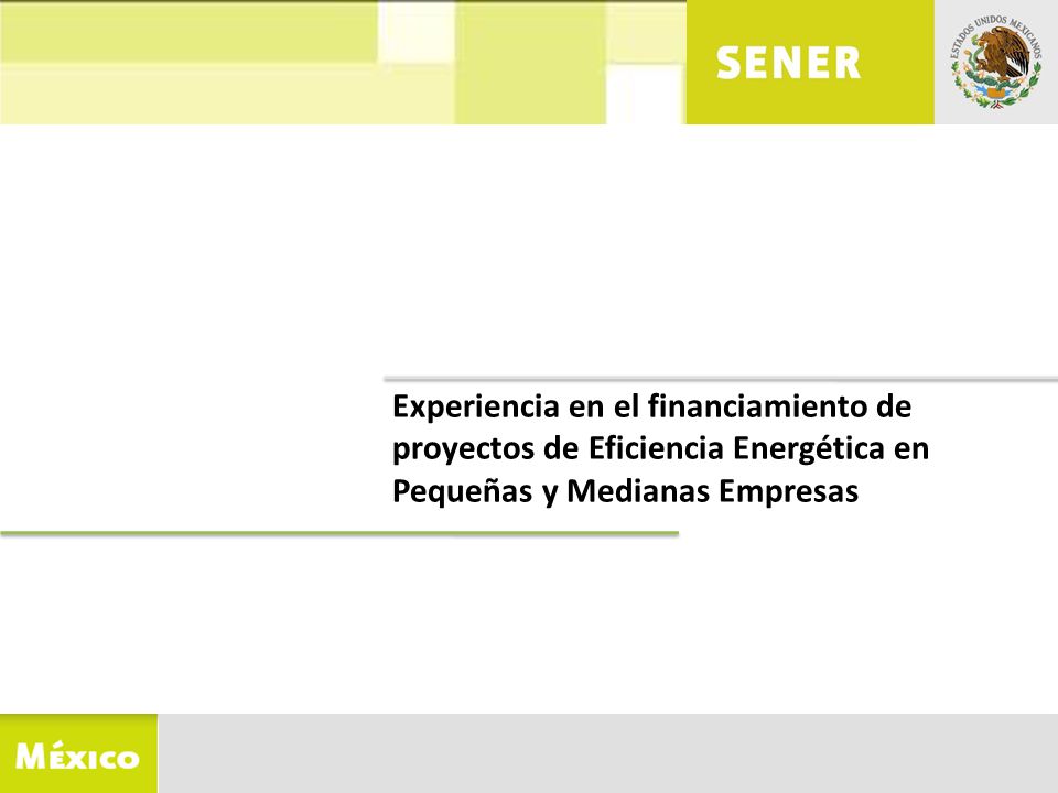 Experiencia en el financiamiento de proyectos de Eficiencia Energética en Pequeñas y Medianas Empresas