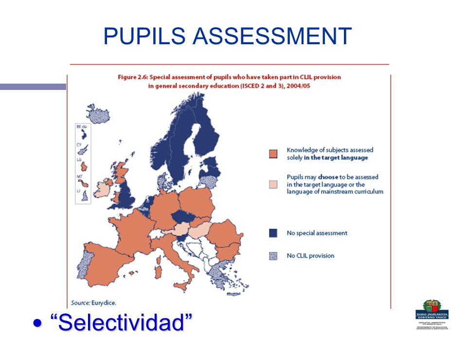 PUPILS ASSESSMENT Selectividad