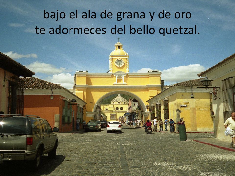 bajo el ala de grana y de oro te adormeces del bello quetzal.