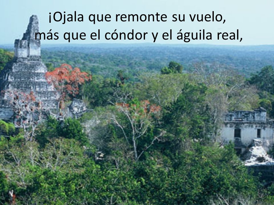 ¡Ojala que remonte su vuelo, más que el cóndor y el águila real,