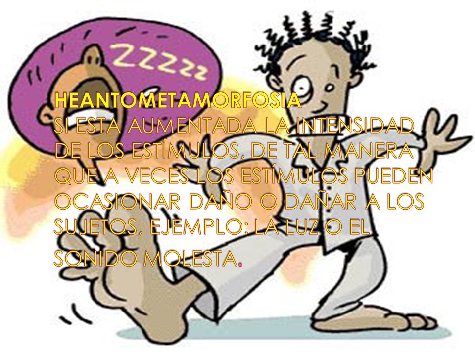 HEANTOMETAMORFOSIA SI ESTA AUMENTADA LA INTENSIDAD DE LOS ESTÍMULOS, DE TAL MANERA QUE A VECES LOS ESTÍMULOS PUEDEN OCASIONAR DAÑO O DAÑAR A LOS SUJETOS, EJEMPLO: LA LUZ O EL SONIDO MOLESTA.