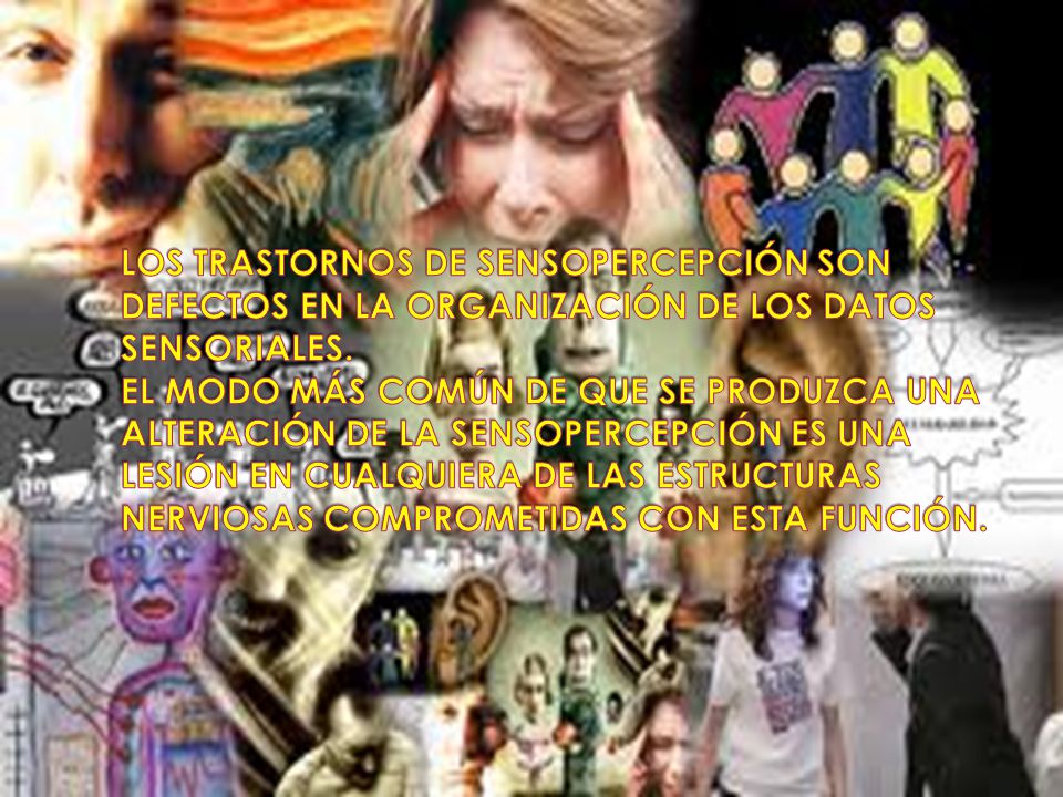 LOS TRASTORNOS DE SENSOPERCEPCIÓN SON DEFECTOS EN LA ORGANIZACIÓN DE LOS DATOS SENSORIALES.