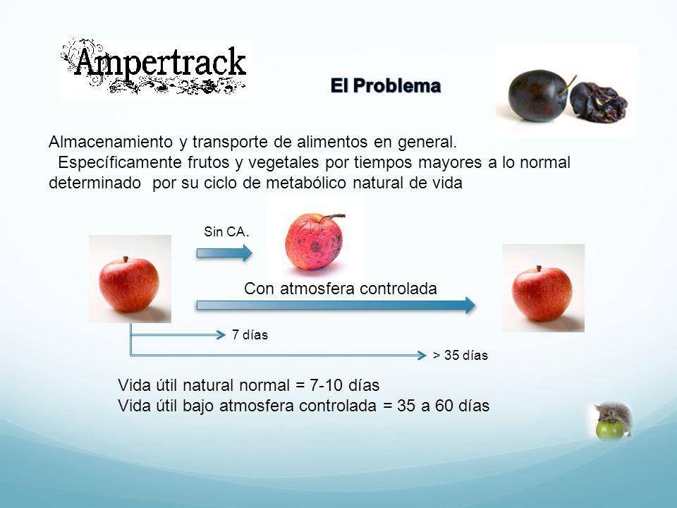 El Problema Almacenamiento y transporte de alimentos en general.