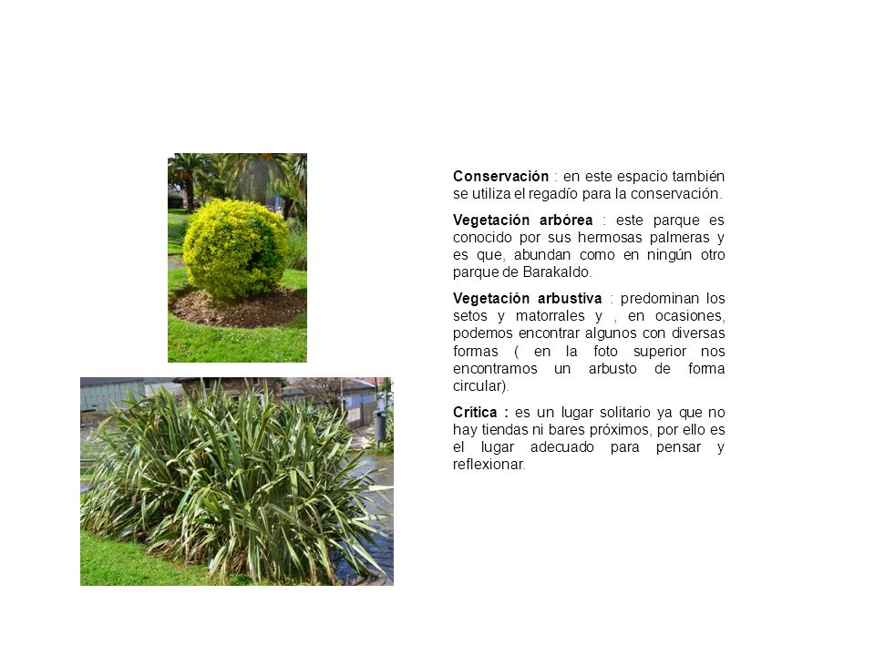 Conservación : en este espacio también se utiliza el regadío para la conservación.