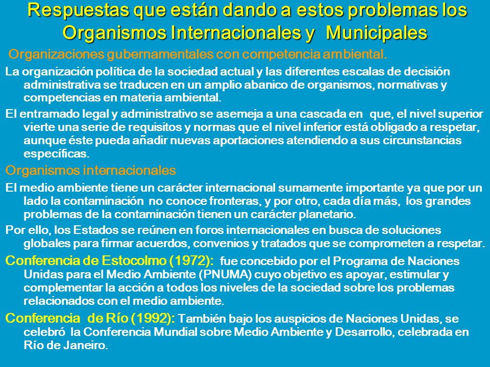 Respuestas que están dando a estos problemas los Organismos Internacionales y Municipales