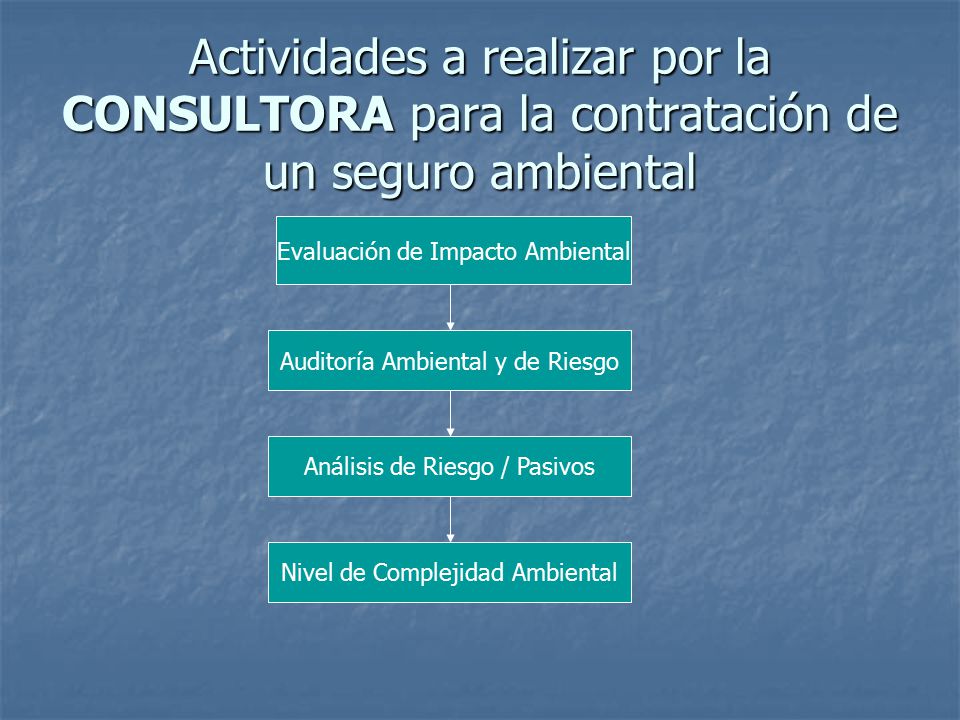 Actividades a realizar por la CONSULTORA para la contratación de un seguro ambiental