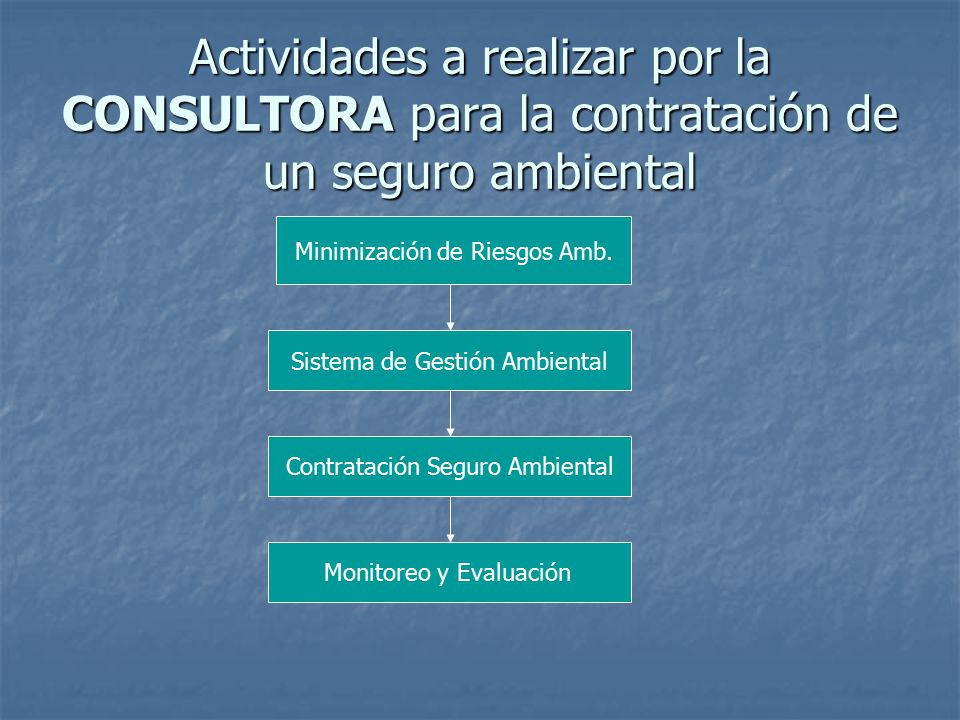 Actividades a realizar por la CONSULTORA para la contratación de un seguro ambiental
