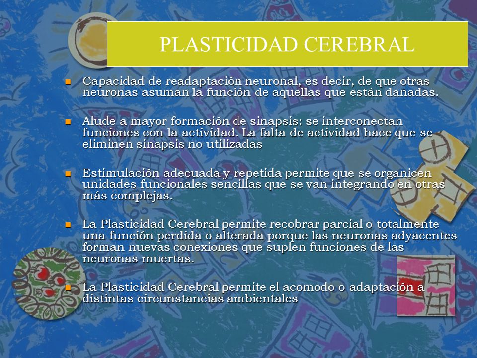 PLASTICIDAD CEREBRAL Capacidad de readaptación neuronal, es decir, de que otras neuronas asuman la función de aquellas que están dañadas.