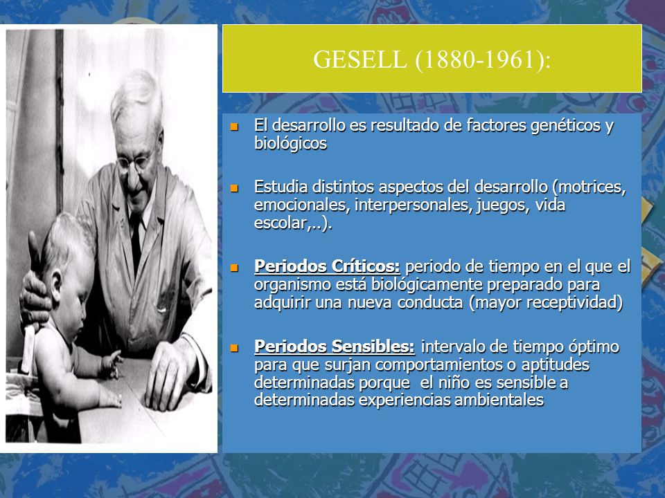 GESELL ( ): El desarrollo es resultado de factores genéticos y biológicos.