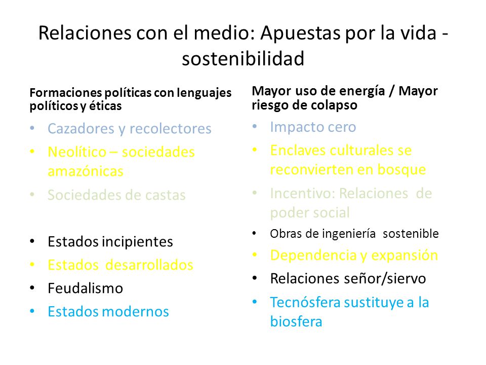 Relaciones con el medio: Apuestas por la vida - sostenibilidad