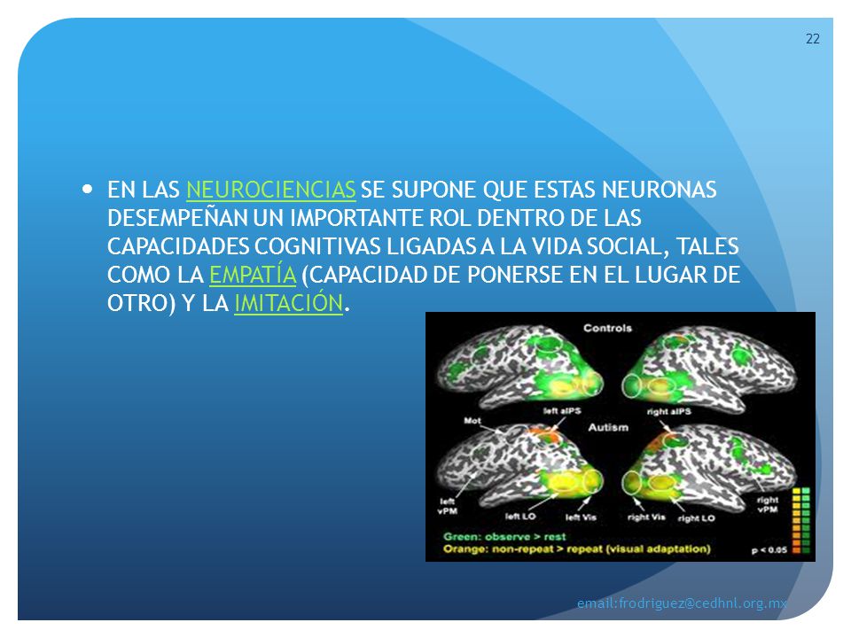 EN LAS NEUROCIENCIAS SE SUPONE QUE ESTAS NEURONAS DESEMPEÑAN UN IMPORTANTE ROL DENTRO DE LAS CAPACIDADES COGNITIVAS LIGADAS A LA VIDA SOCIAL, TALES COMO LA EMPATÍA (CAPACIDAD DE PONERSE EN EL LUGAR DE OTRO) Y LA IMITACIÓN.