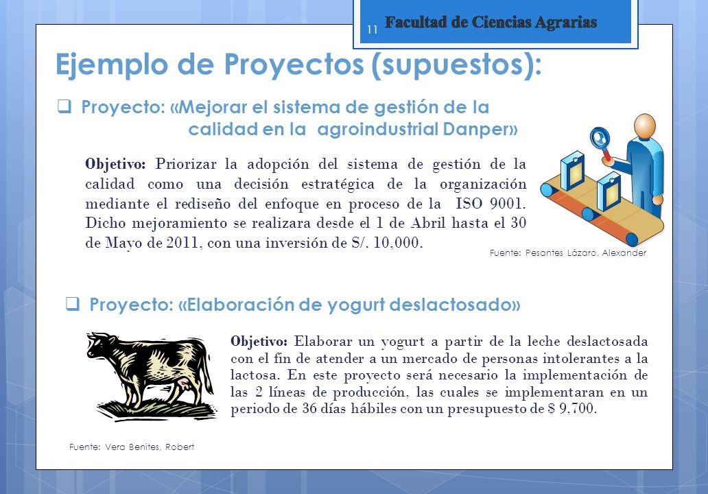 Ejemplo de Proyectos (supuestos):