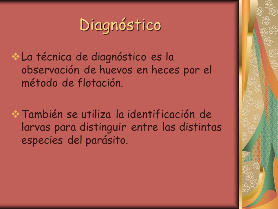 Diagnóstico La técnica de diagnóstico es la observación de huevos en heces por el método de flotación.