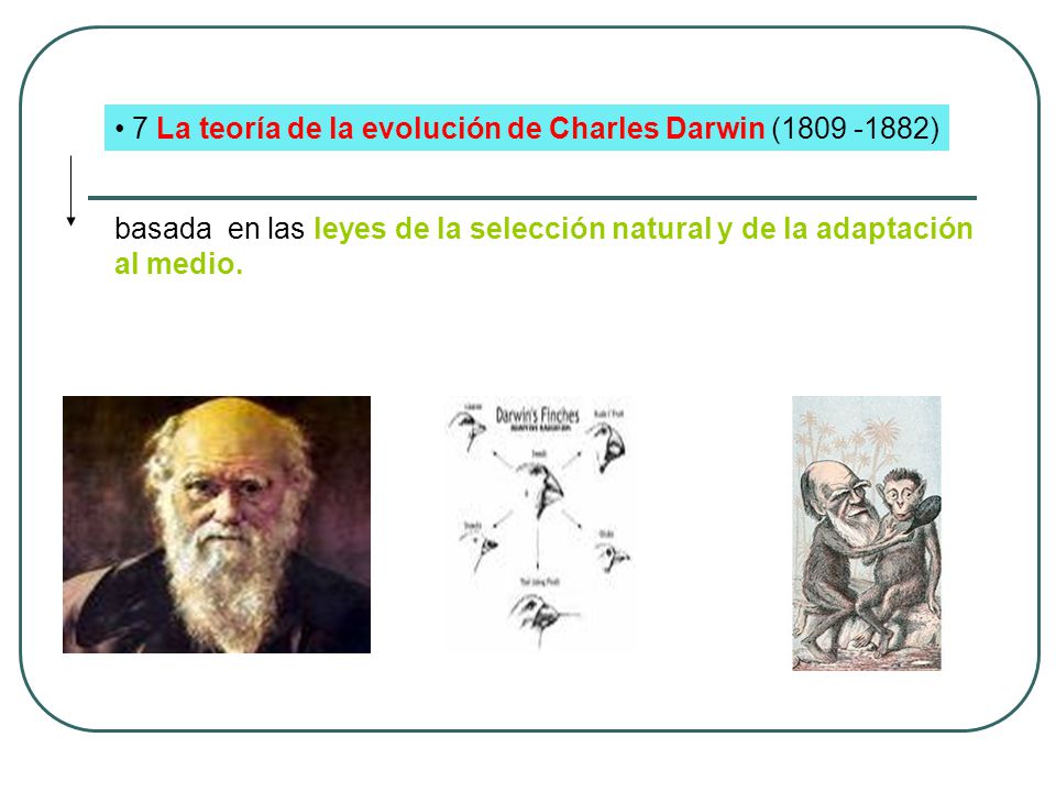 7 La teoría de la evolución de Charles Darwin ( )