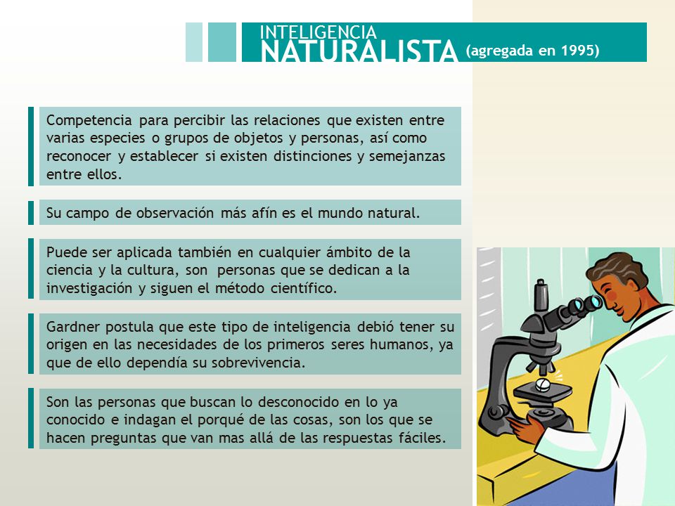 NATURALISTA (agregada en 1995)