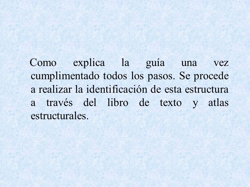 Como explica la guía una vez cumplimentado todos los pasos