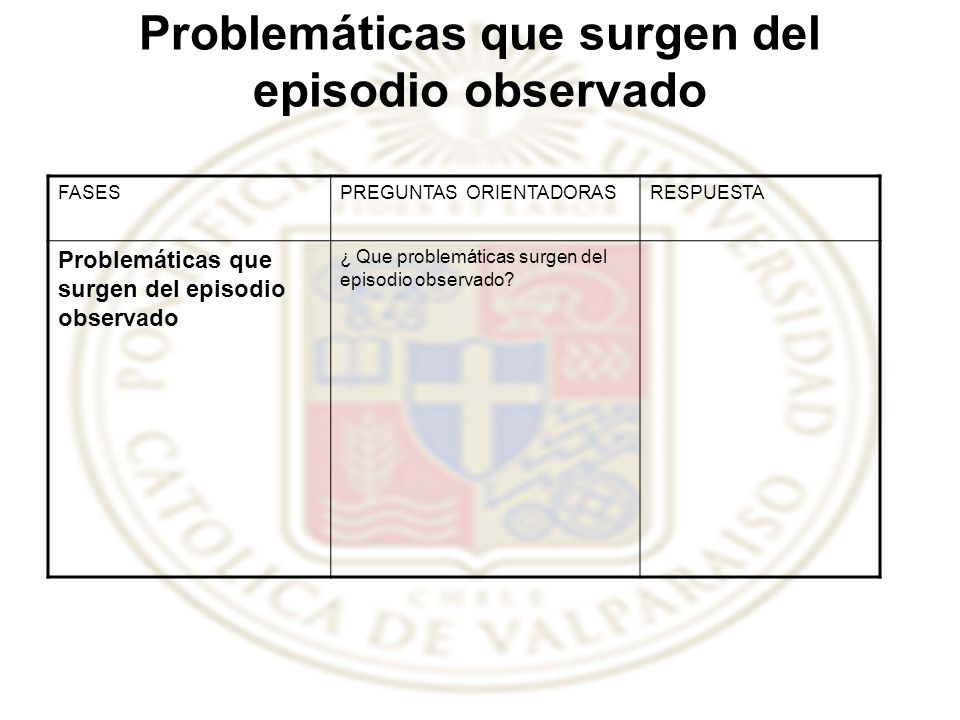 Problemáticas que surgen del episodio observado