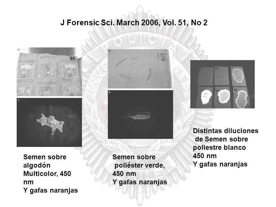 J Forensic Sci. March 2006, Vol. 51, No 2