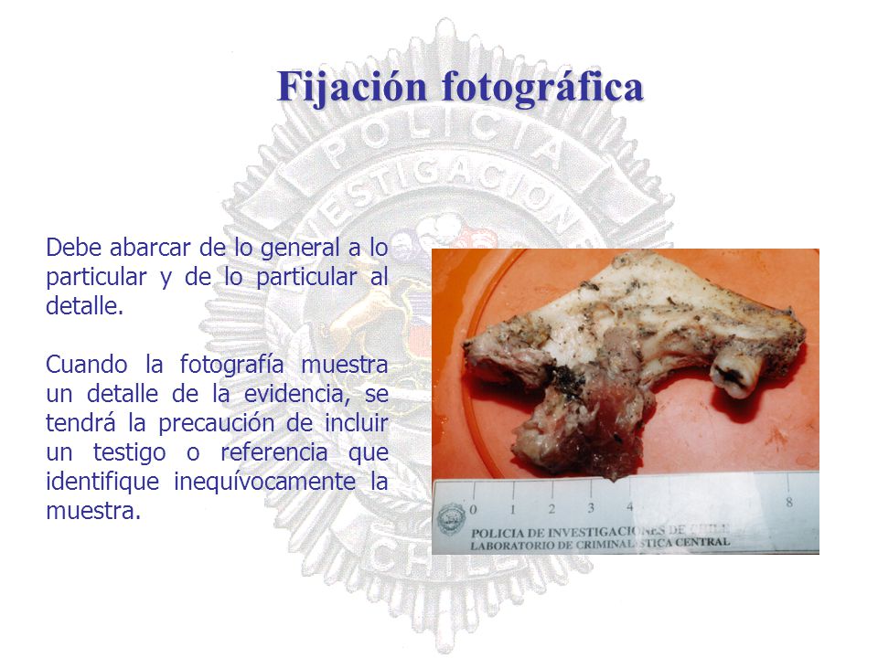 Fijación fotográfica Debe abarcar de lo general a lo particular y de lo particular al detalle.