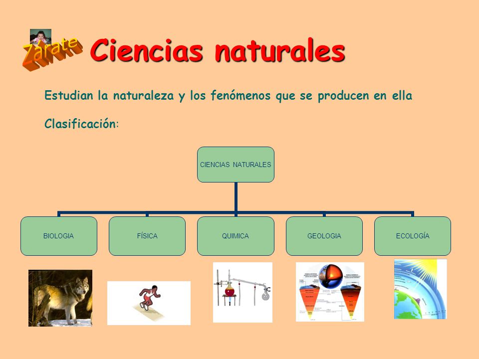 Ciencias naturales Estudian la naturaleza y los fenómenos que se producen en ella Clasificación: