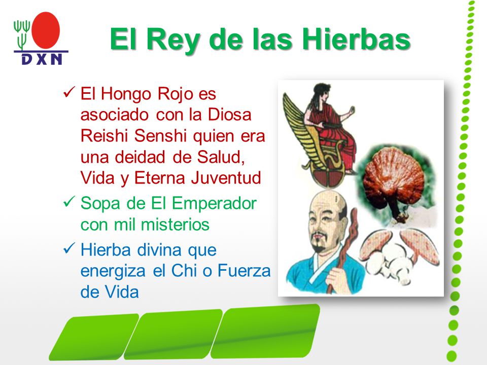 El Rey de las Hierbas El Hongo Rojo es asociado con la Diosa Reishi Senshi quien era una deidad de Salud, Vida y Eterna Juventud.