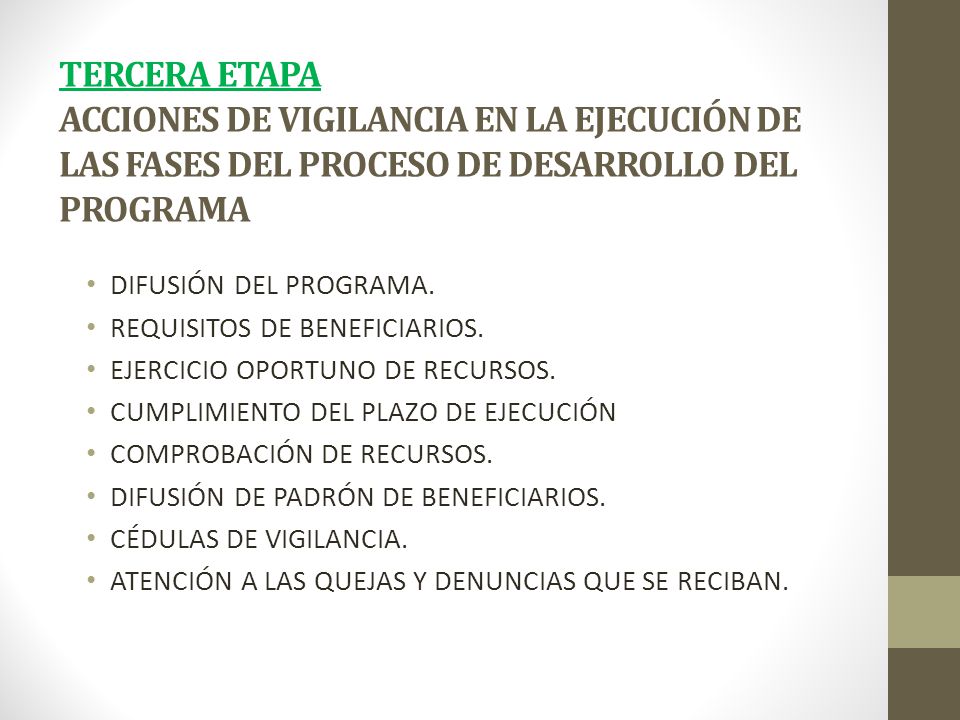 TERCERA ETAPA ACCIONES DE VIGILANCIA EN LA EJECUCIÓN DE LAS FASES DEL PROCESO DE DESARROLLO DEL PROGRAMA