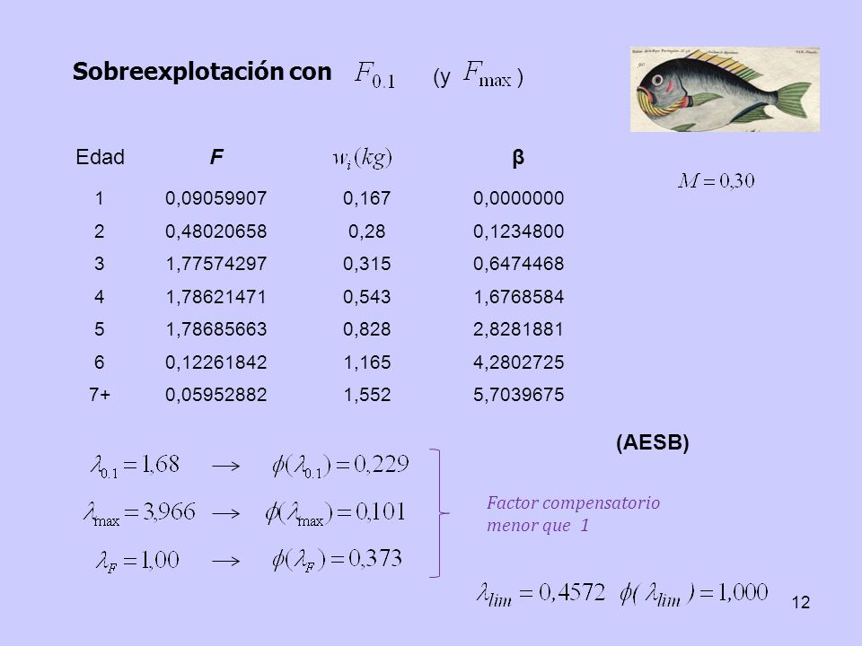 Sobreexplotación con (y ) Edad F β (AESB) 1 0, ,167 0,