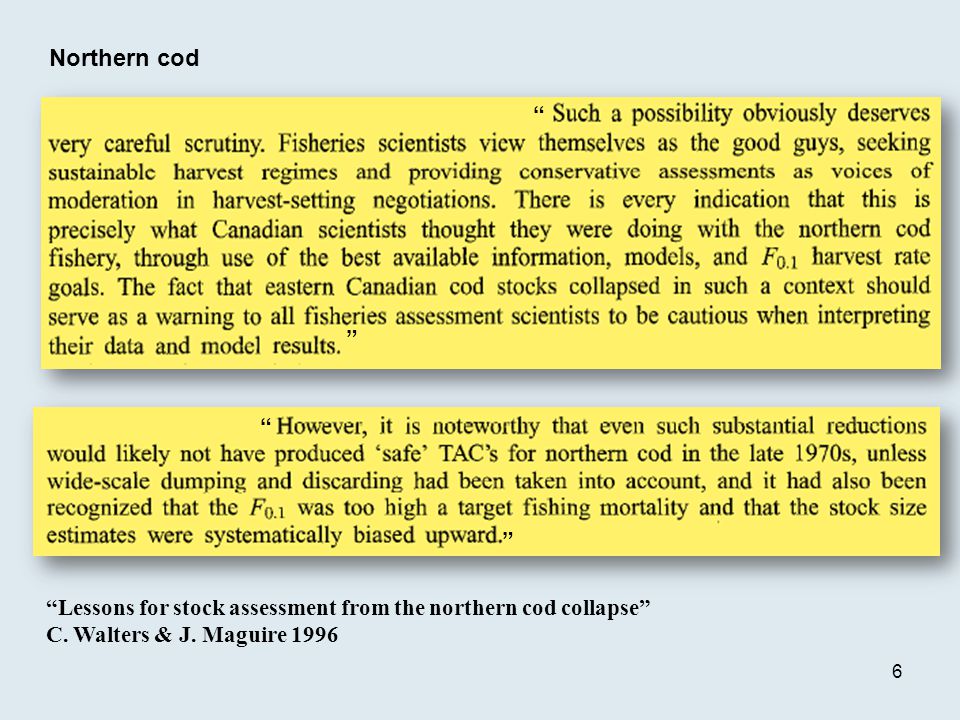 Northern cod Lessons for stock assessment from the northern cod collapse C.