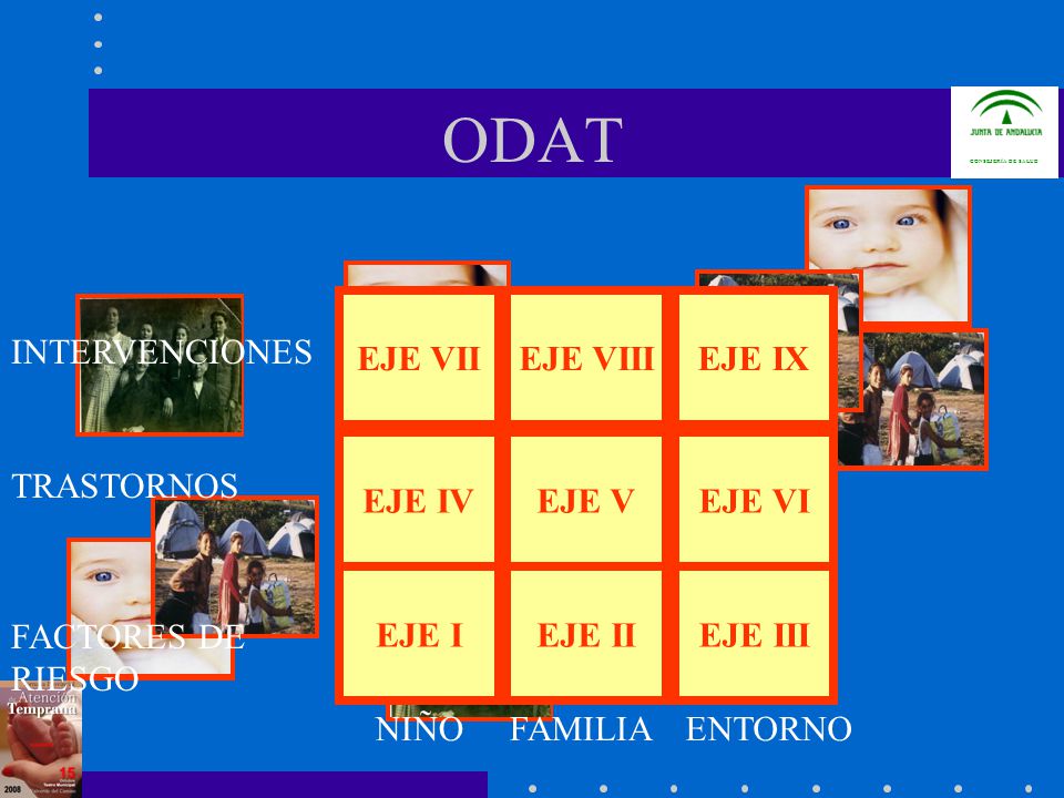 ODAT EJE VII EJE VIII EJE IX INTERVENCIONES EJE IV EJE V EJE VI
